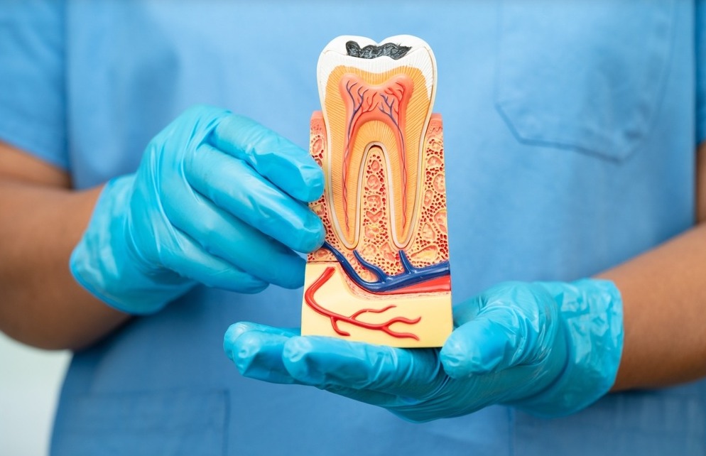 خدمات Tooth Guard للأسنان